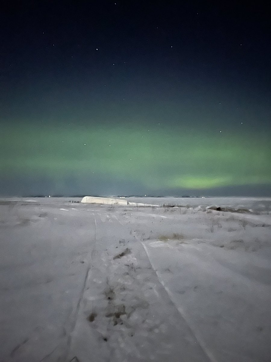 <a href="/EddieSheerr/">Eddie Sheerr</a> 8:16pm in Nameless Cove, looking towards Labrador! 💚✨🌌