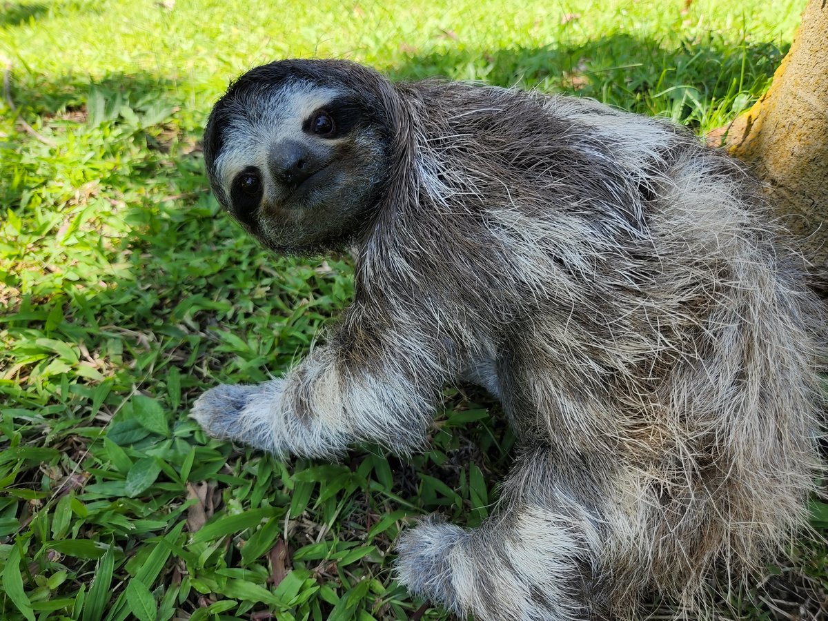 Max Chavarria tweet media