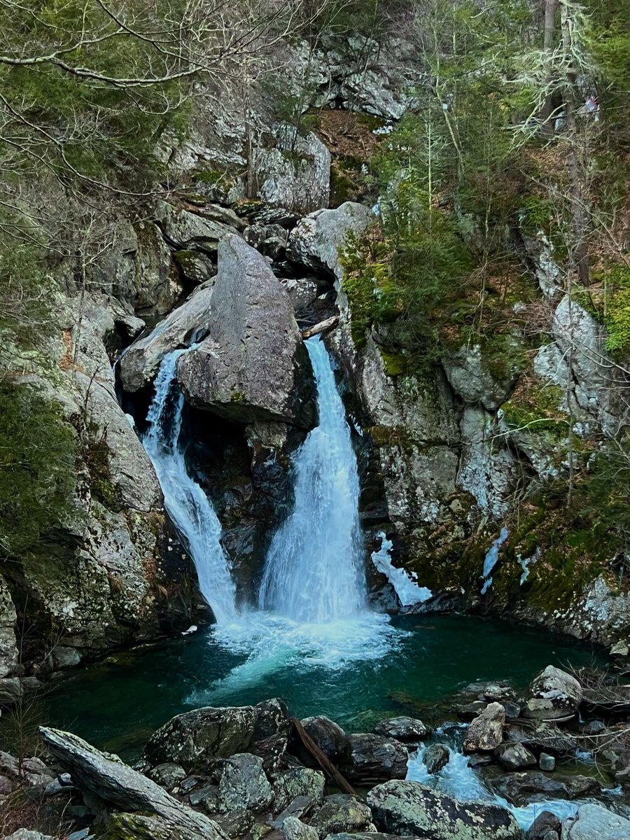 vikxzi's tweet photo. Shit man I love nature https://t.co/7FVBWmXoTk