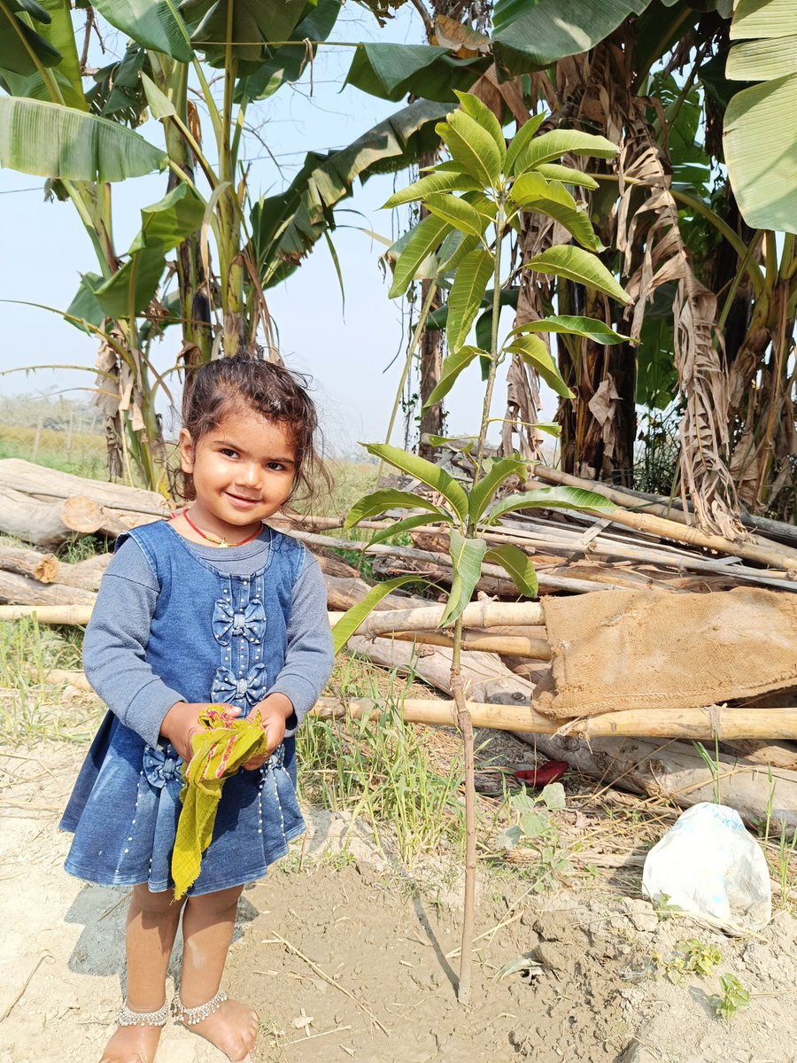 mission100cr's tweet photo. Good lesson for future generations. #treeislife #mission100croretree #plantmoretrees @KotwalMeena  @BeeAsMarine @climate_mission @worldgreendlp  @nywolforg  @Environment_Ke  @GottliebWKeller  @ravishndtv  @Sdg13Un @RivSDGaction @environpeoplede @theGCF  @thecarbontrust https://t.co/1ePdiCFJAK