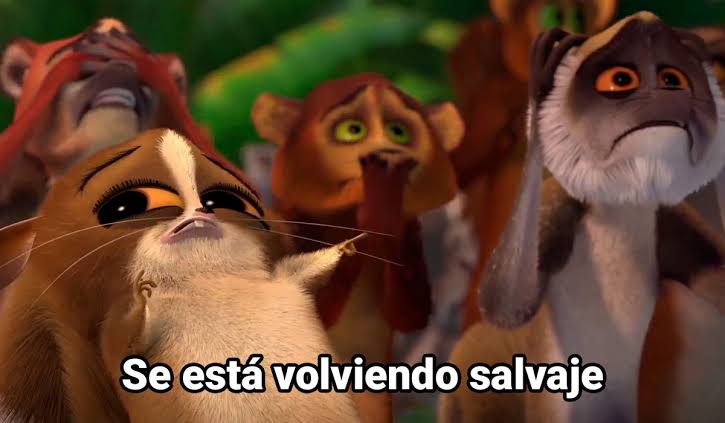 | se está volviendo multicuentas**