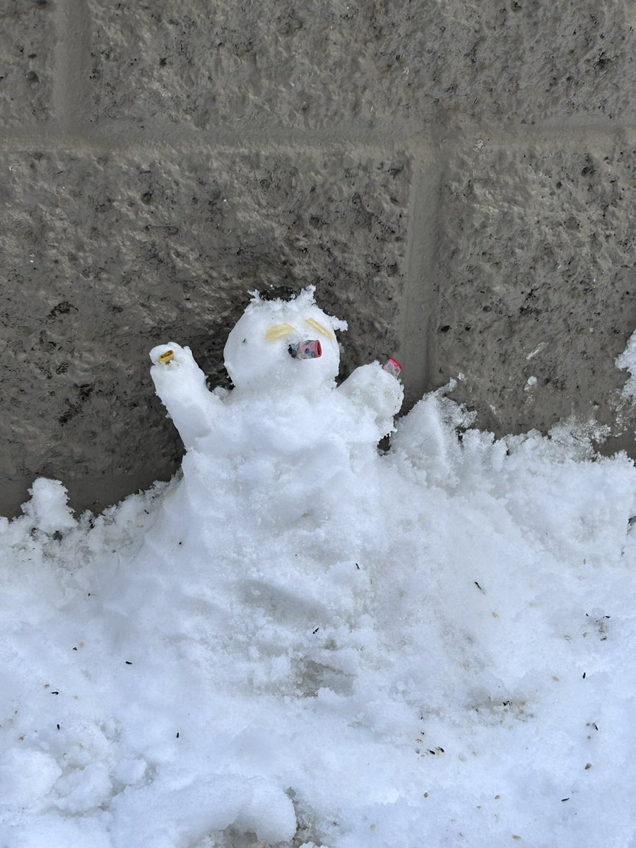 soyinspace's tweet photo. Behold my snow man https://t.co/w8fGrXWSFs