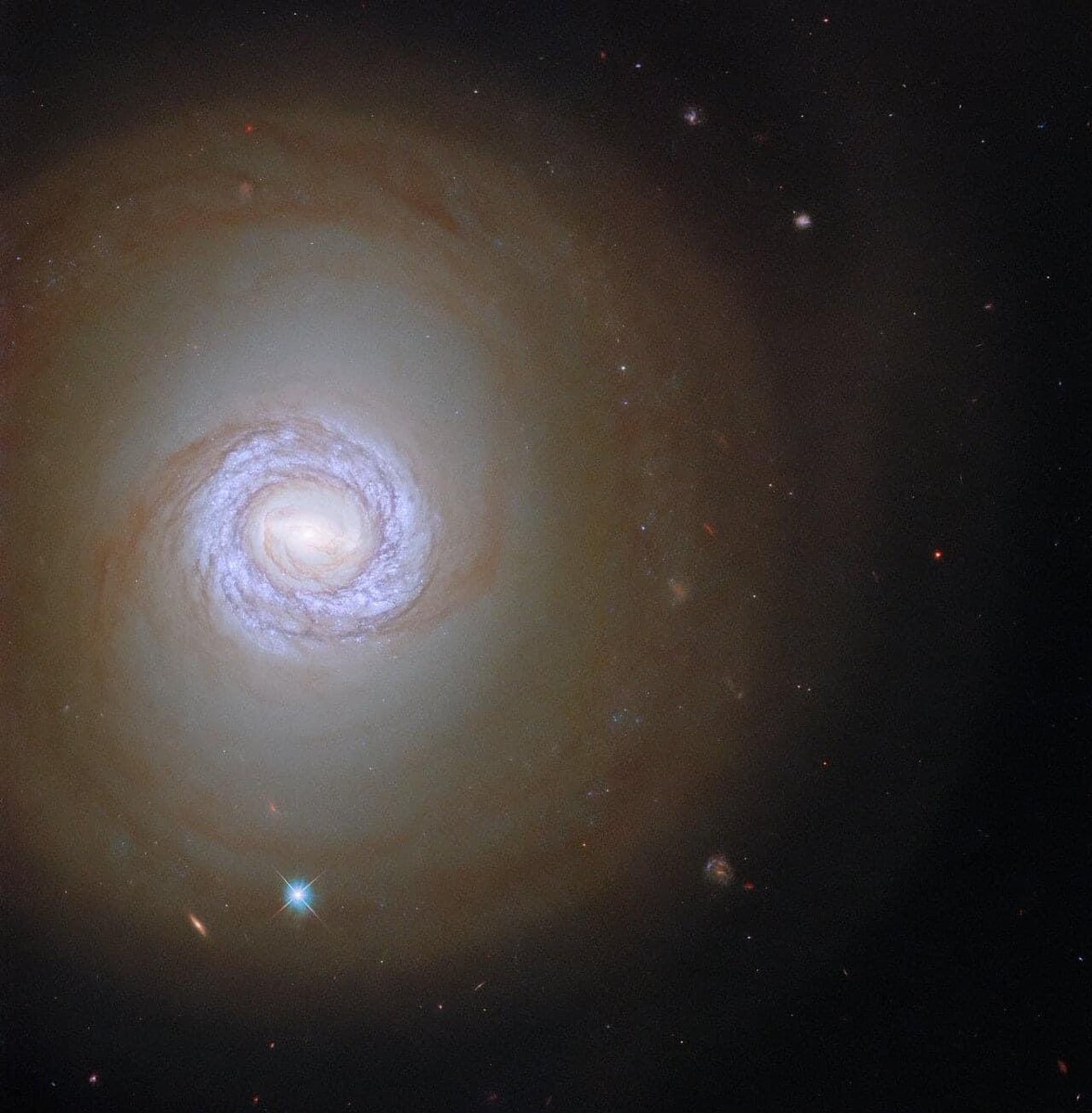 Cron_Silenzio's tweet photo. Come una luna in una fredda notte d'inverno, questa galassia a spirale brilla nel cielo.
#Hubble ha scattato questa immagine della bellissima #NGC_1317 nella costellazione della #Fornace. https://t.co/7wIoY422wZ