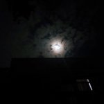 Photo by david kayemba (@davidkayemba4)
