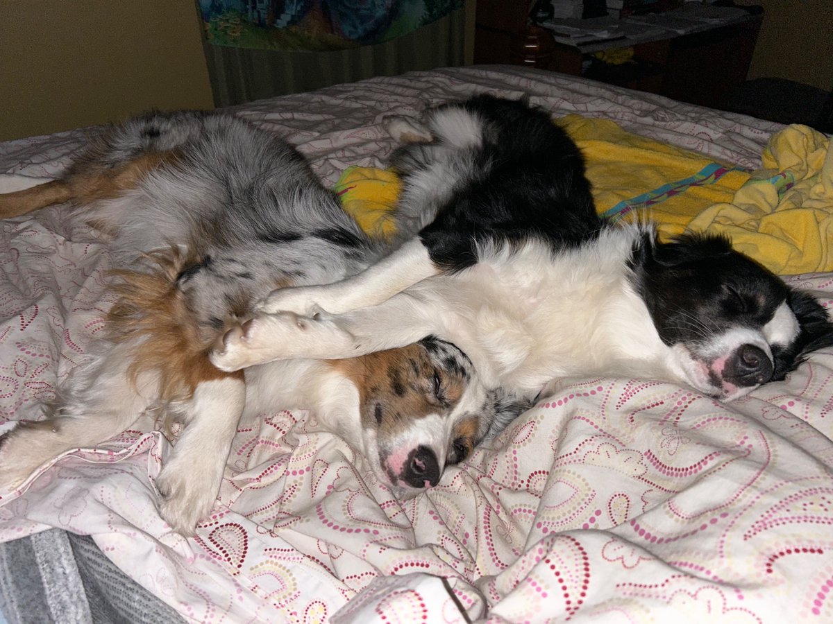 JanRj445's tweet image. This #repositioning goes on all night with the #kids!