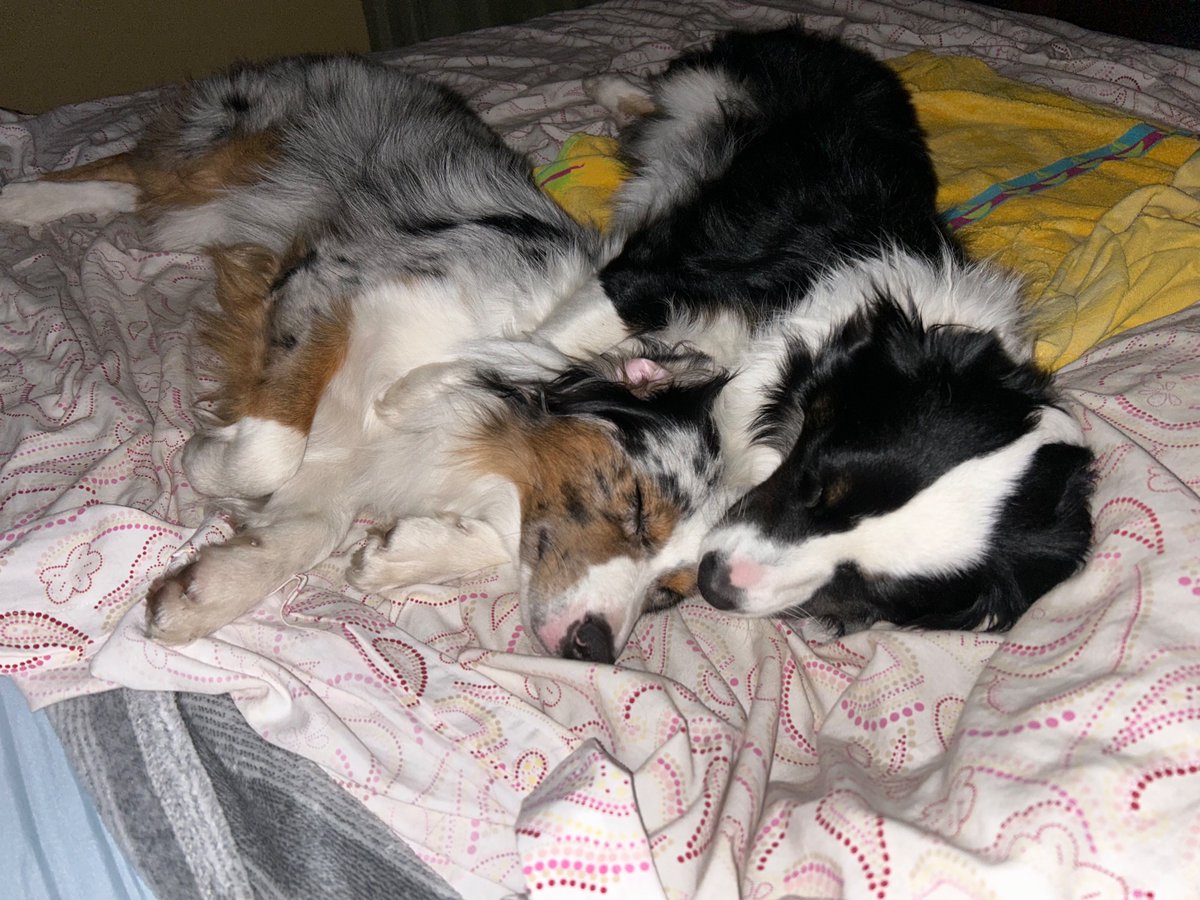 JanRj445's tweet image. This #repositioning goes on all night with the #kids!