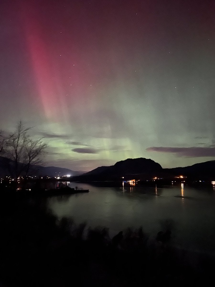 MoonCurser Vineyards tweet media