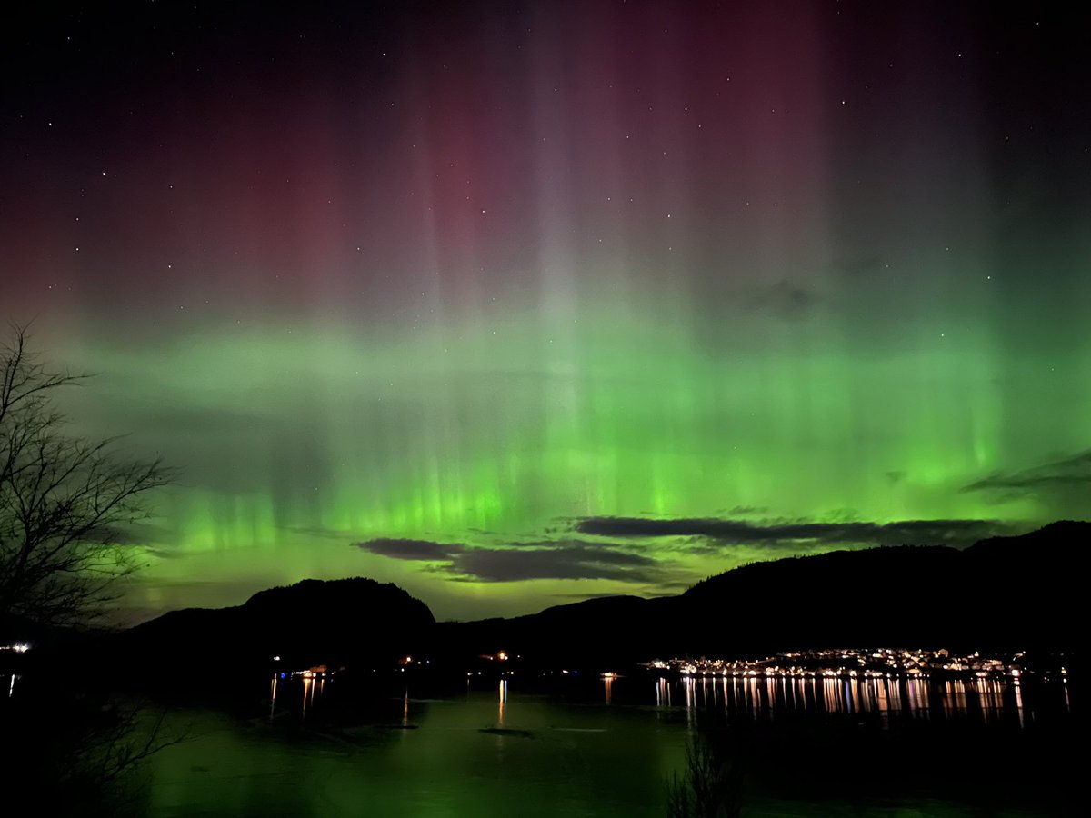 MoonCurser Vineyards tweet media