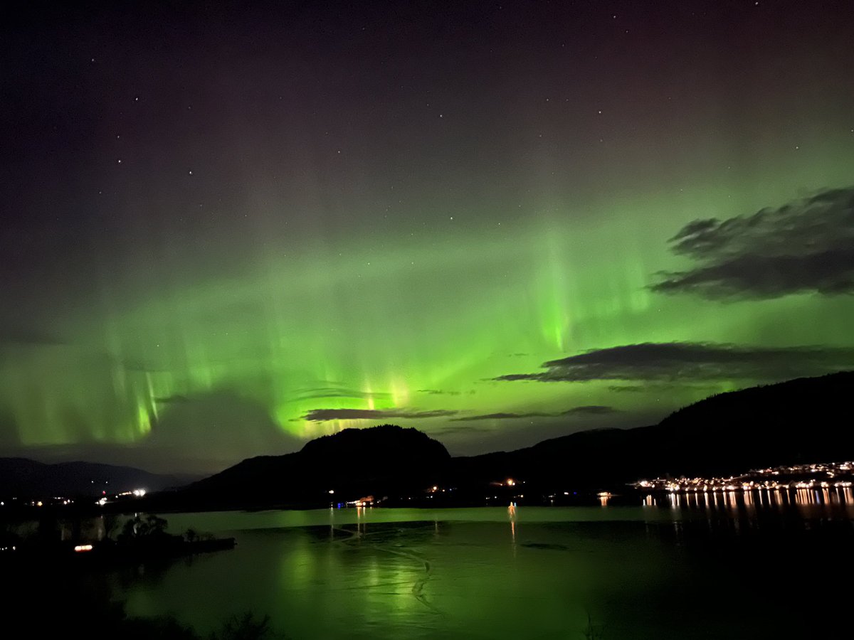 MoonCurser Vineyards tweet media