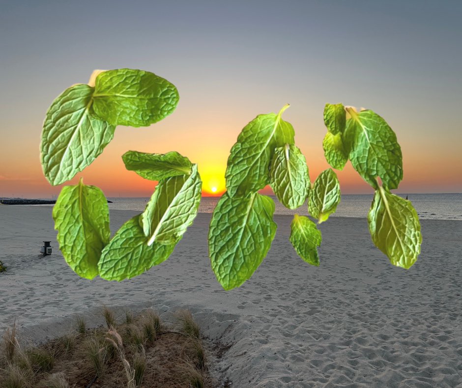 GM - say it back for number go up!