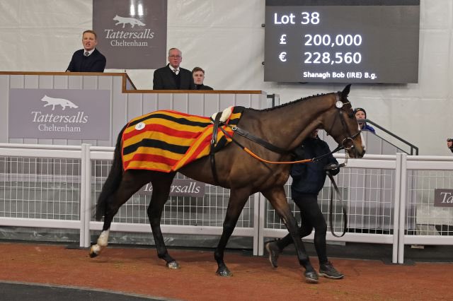BSV_P2P's tweet photo. 📍𝟰/𝟱𝘆𝗼 𝟮𝗺𝟰𝗳 𝗠𝗮𝗶𝗱𝗲𝗻 (𝟭𝟳)
@tattscheltenham 

The opener on Sun looks a cracker! 
All the big yards represented ⬇️

🙋‍♂️@Bradleygibbs1
🙋‍♂️@Harryryall22 
🙋🏻‍♂️@ianchanin 
🙋‍♂️@TMBloodstock
🙋🏼‍♀️@station__yard
🙋‍♂️@tomweston73
🙋‍♂️Ed Walker 
🙋‍♂️@CBarberRacing 
🙋‍♂️@GandTRacing 

#BSV23 https://t.co/io5oPfOtJl