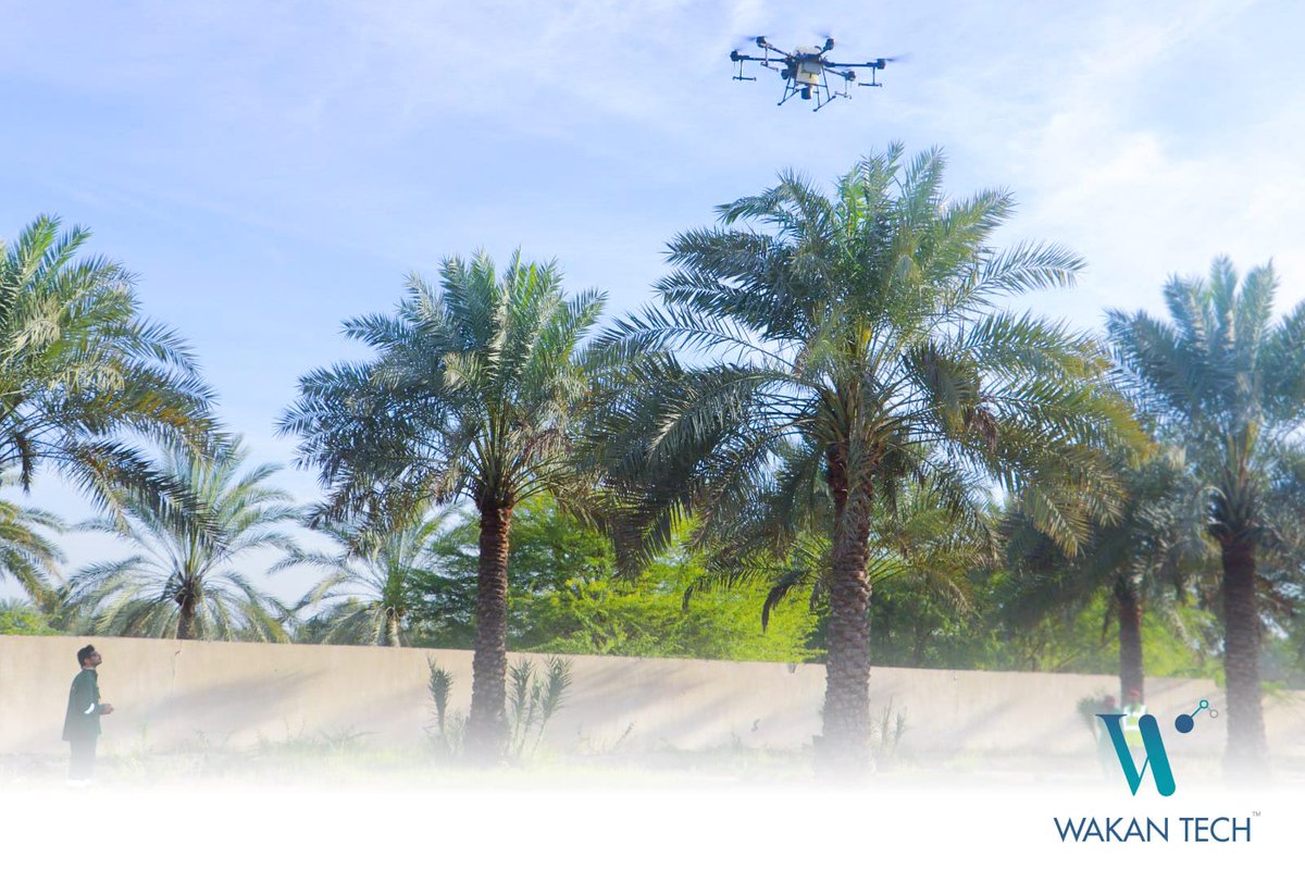 WakanTech's tweet photo. جانب من عمليات تلقيح أشجار النخيل بإستخدام الطائرات المسيرة و اللقاح المعلق في المزارع التابعة للمديرية العامة للبحوث .
.
.
@WakanTech 
@AgrResearchOman 
@MAFWR_OM https://t.co/rn4ICSMyXR
