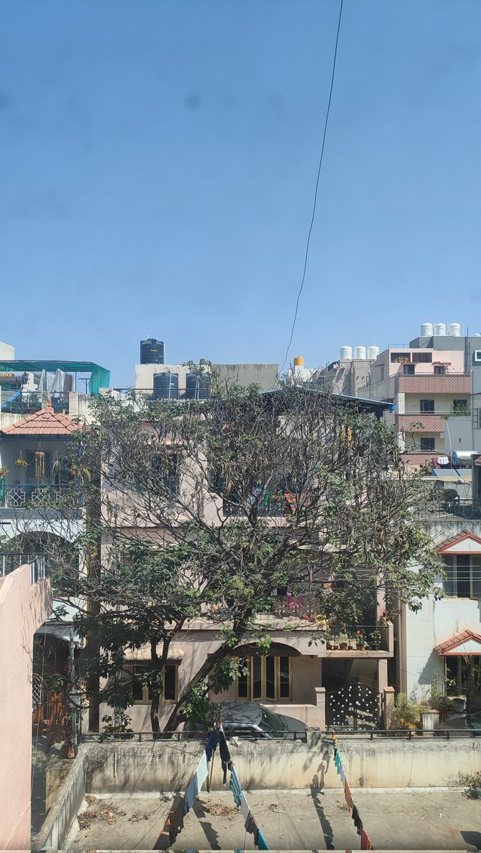 Gypsyshutter's tweet image. Beautiful day to work from home.
@wisoftsolutions 
#wisoftsolutions #wfh #workfromhome