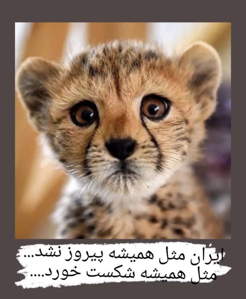در روزگاری هستیم که نماد امید و آینده خوب هم از بین ما رفت…روحت شاد پیروز عزیز..
#مهسا_امينی‌ #پیروز