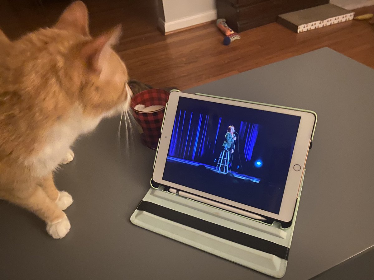 Shelley Schaberg tweet media