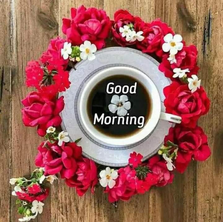 ract005's tweet image. Good morning, your cable consultant has been online.
​Welcome to consult!
​Luis:+18968032863