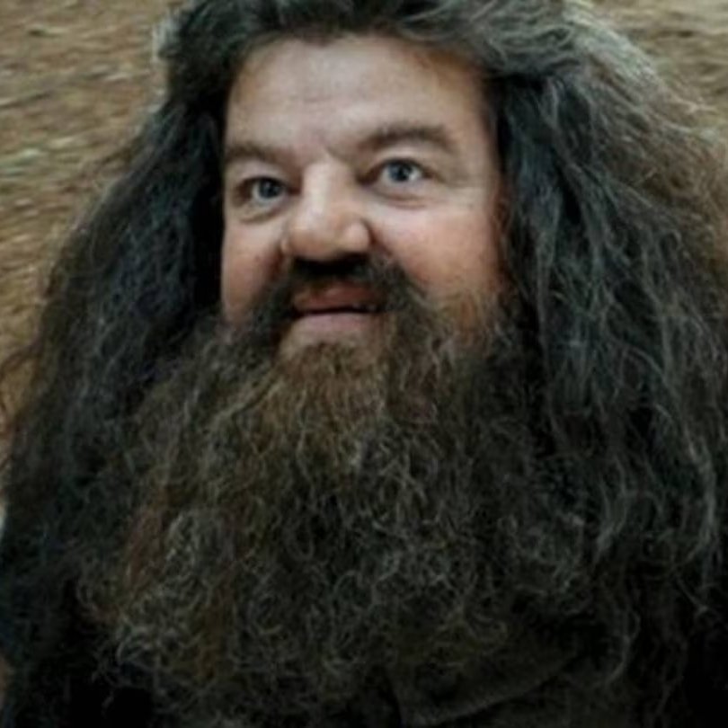 cacocardassi's tweet photo. Em Hogwarts Legacy é possível ver a cabana onde, anos mais tarde, Hagrid acaba morando... Atrás da cabana tem uma lápide com um Hipogrifo que muitos fãs acreditam ser uma homenagem ao ator Robbie Coltrane, que faleceu no final do ano passado. https://t.co/ycAgKPnXVe