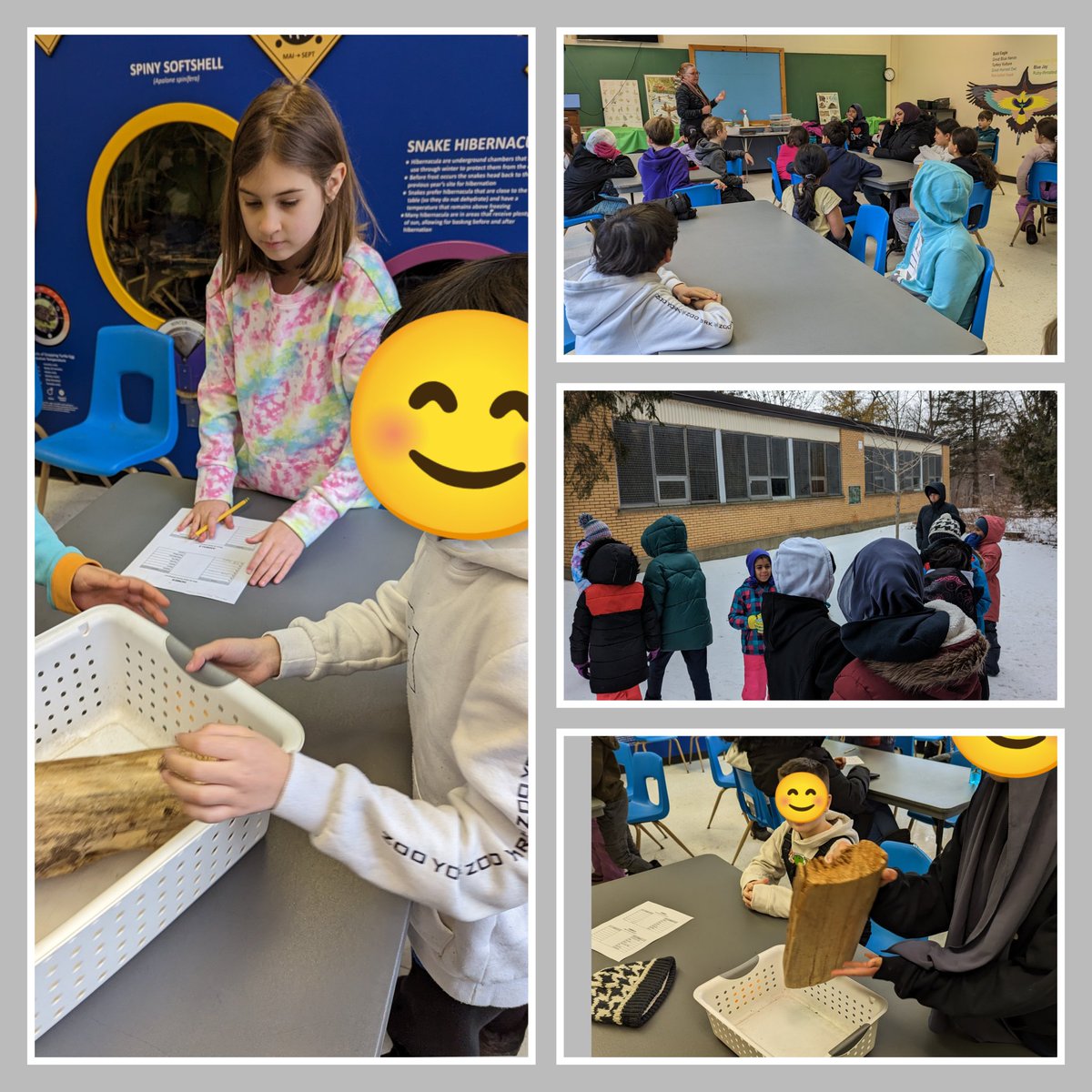 Allison Marquis tweet media