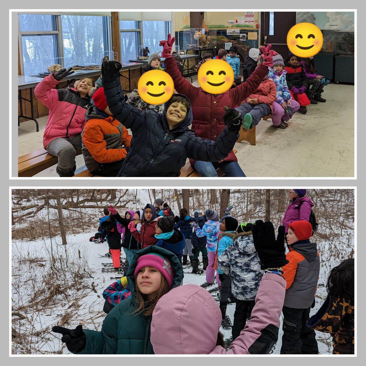 Allison Marquis tweet media