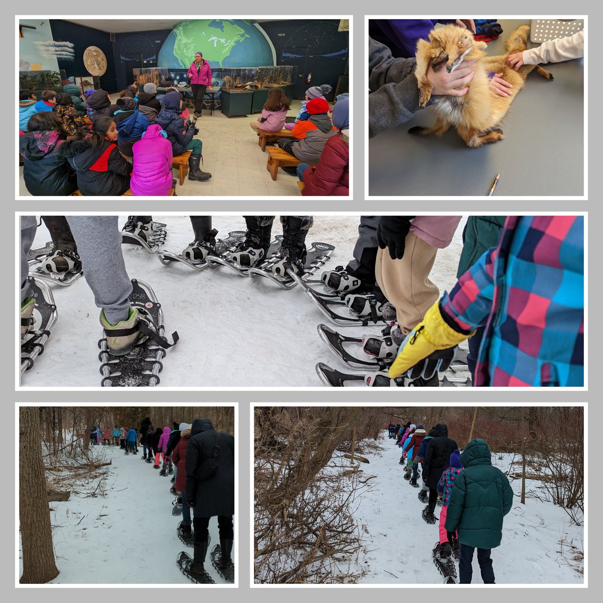 Allison Marquis tweet media