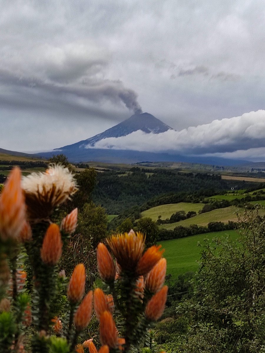 Al final del día un poco tímido se dejó ver el #Cotopaxi