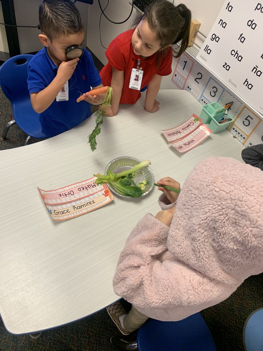 Ms. Zavala (@msmzavala) on Twitter photo We have been learning about where our food comes from and how we are able to use our different senses to make observations 😊 <a href="/LivelyEagles/">Lively Elementary</a> #PK We have been learning about where our food comes from and how we are able to use our different senses to make observations 😊 <a href="/LivelyEagles/">Lively Elementary</a> #PK