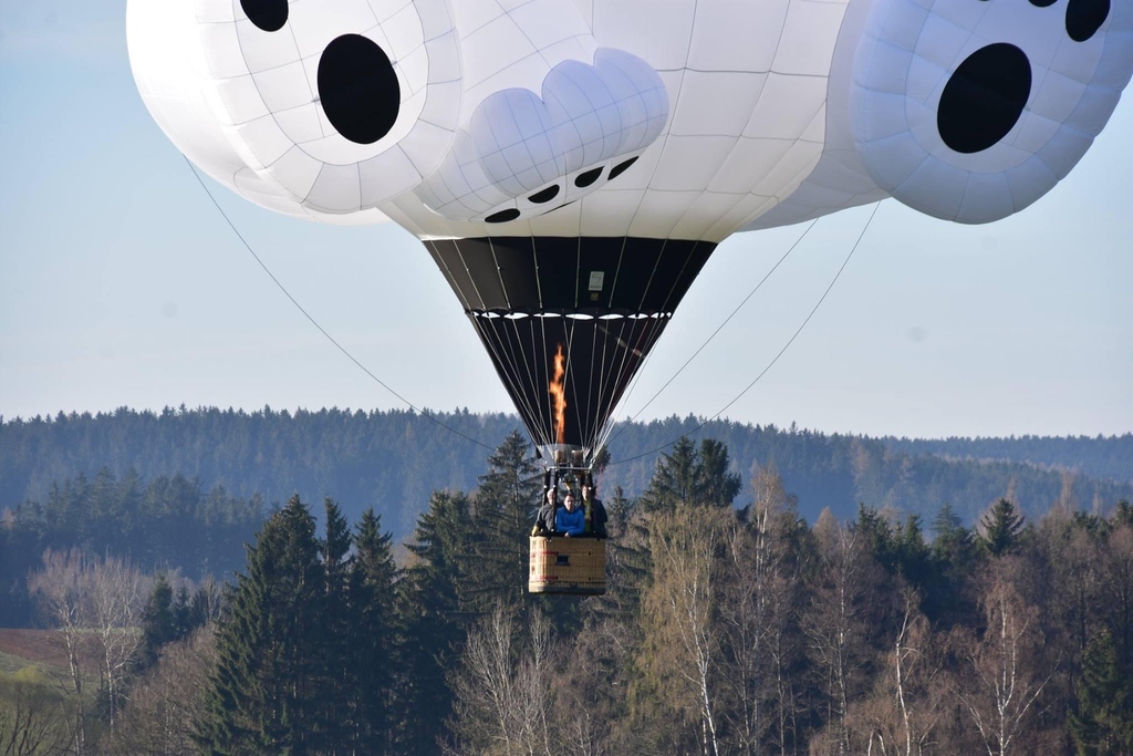 njballoonfest's tweet photo. Happy international polar bear day! 🐻❄️🐾
This gorgeous lightweight Special Shape has been flying the world since 2018🥰 🌎
#kubicekballoons #kubicek #itstimetofly #kubicekfactory #babypolarbear #lightweight #specialshape #InternationalPolarBearDay https://t.co/O8INDvfYD3