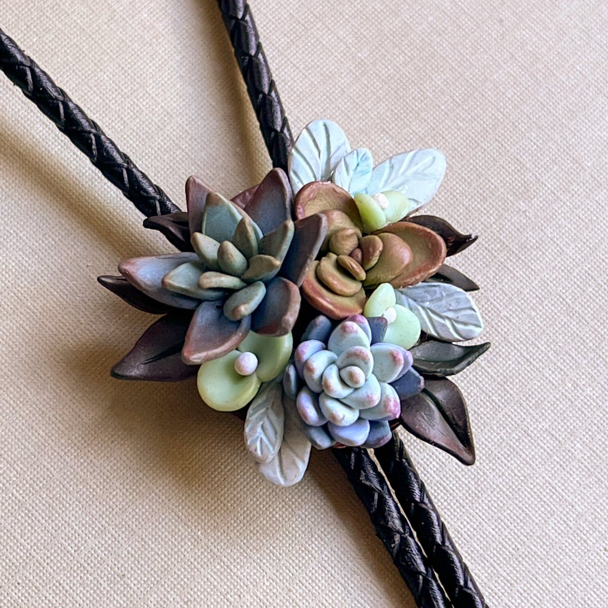clayandrain's tweet photo. my succulent collection is now live! 🌿

https://t.co/6660Cy3D4X https://t.co/Ij0jJPuTo0