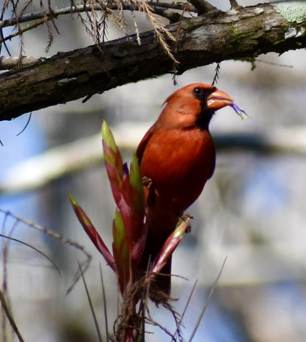 Andrew Kearns tweet media