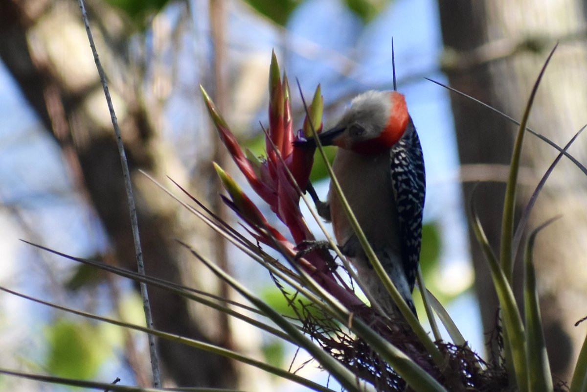 Andrew Kearns tweet media