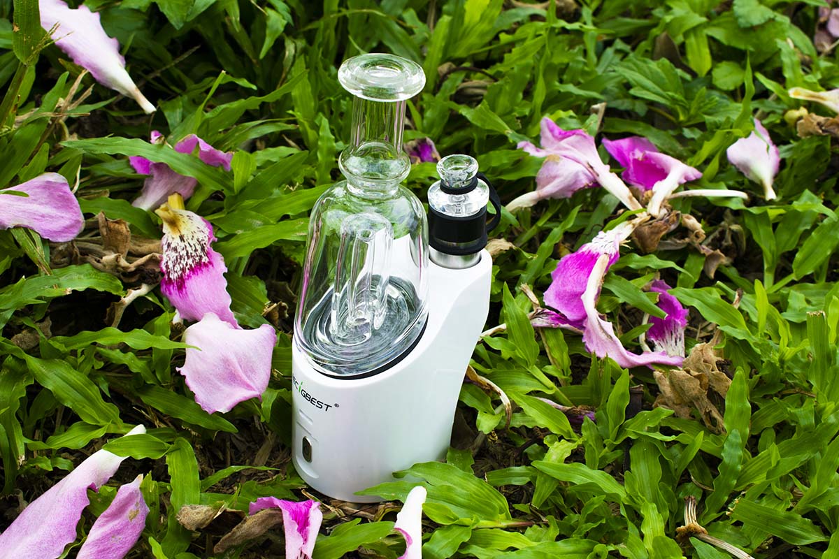 iecigbest's tweet photo. The TOP Vaporizer Is Full Of Flowers๐ฎ๐ผ๐น
And We Hope Your Life Is Full Of Lucky๐๐ฅ๐๐ป
.
.
.
.
.
#iecigbest #stonerlife #stonersmoke #cannabisvape #smokeweed #hempflower #dabsmash #atomizer #StonerFam #CannabisCommunity #420life #420Code #IAmCannabis #hightimes #highlife https://t.co/Ul6ZDYsm10
