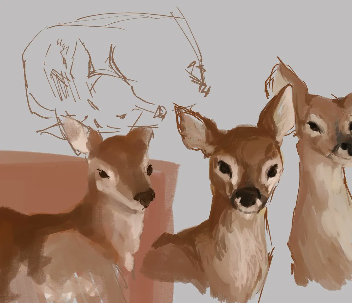Liorxtia's tweet photo. Deer studies (⁠｢⁠`⁠･⁠ω⁠･⁠)⁠｢ https://t.co/SV9Zx0EqXv