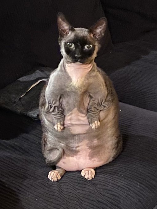Also&hellip; don&rsquo;t @ me on taxidermy&hellip; my son is a legend and must remain so when he leaves his physical body<a href="/tag/littlepalmisland"class="tags"><span>#littlepalmisland</span></a>
