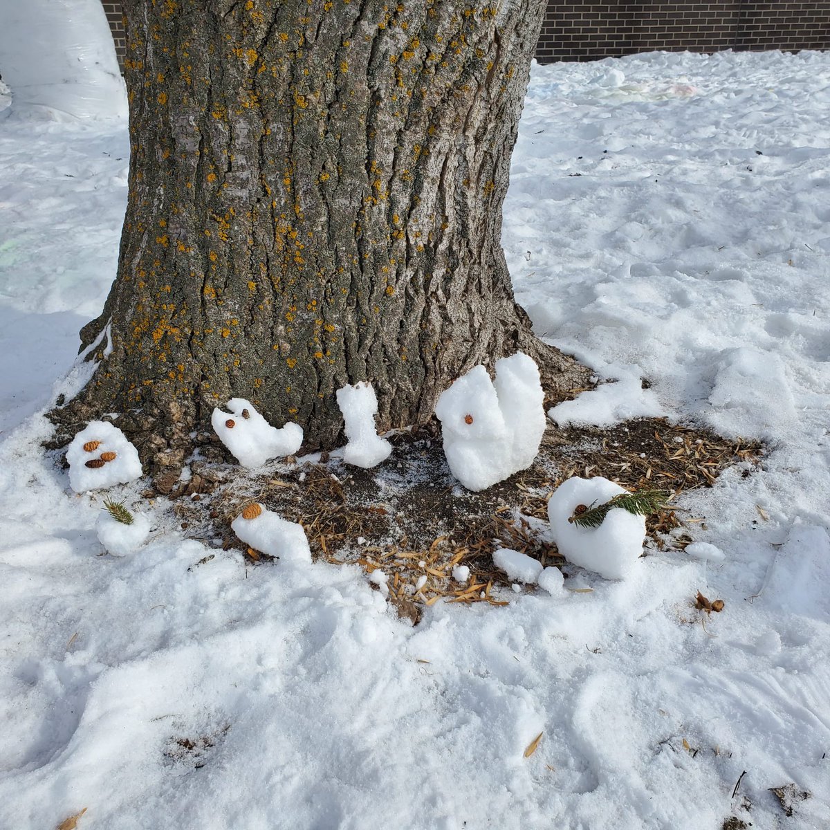 ⛄️#lastsnowmanwinnipeg 
These are snow critters in their winterland habitat! 
Students used collaboration, creativity, communication, critical thinking and enjoyed our winter climate!
For every posting, money is donated to climate change initiatives!🌍