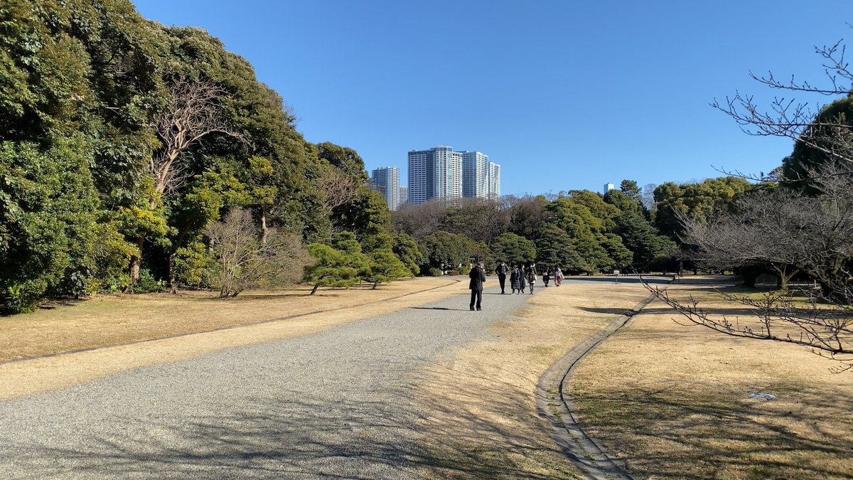 st_strunning's tweet photo. 浜離宮恩賜庭園へ散歩
都内のビル群の中に凄い広さの庭園。銀座から１５分。不思議な気持ちになりました。２月は目の前に広がる菜の花が絶景。良い所です。
#浜離宮恩賜庭園
#散歩
#東京散歩
#観光スポット https://t.co/pTYjJKQNAW