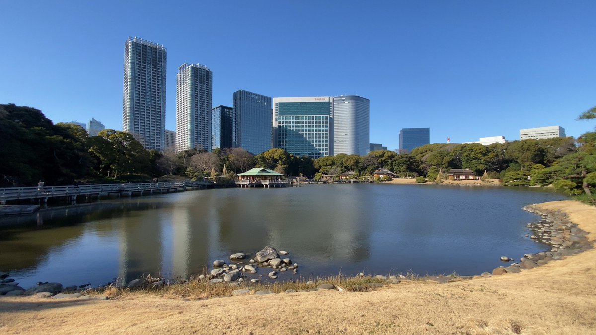 st_strunning's tweet photo. 浜離宮恩賜庭園へ散歩
都内のビル群の中に凄い広さの庭園。銀座から１５分。不思議な気持ちになりました。２月は目の前に広がる菜の花が絶景。良い所です。
#浜離宮恩賜庭園
#散歩
#東京散歩
#観光スポット https://t.co/pTYjJKQNAW