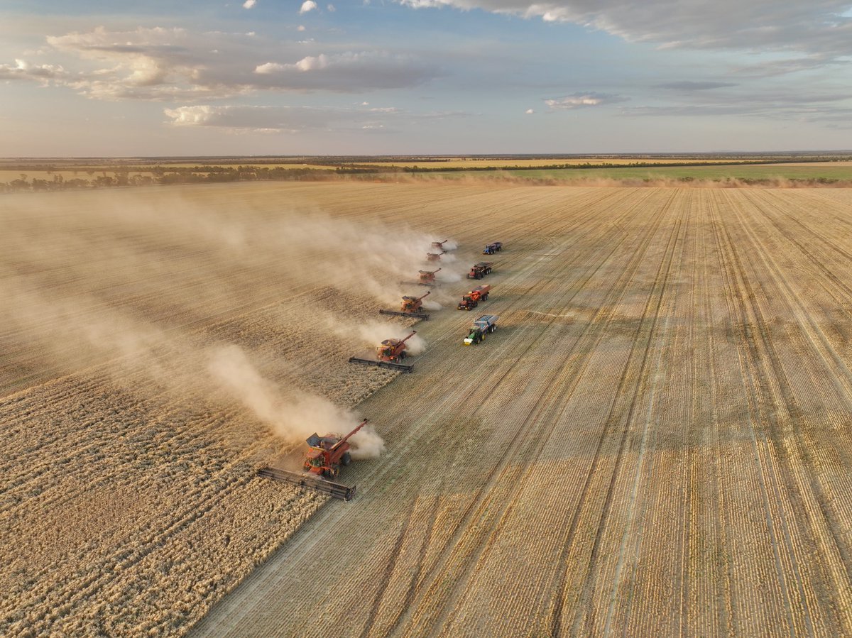 _TMPhoto_'s tweet image. Kiewa Park Farming Harvest 2022

Full video:
fb.watch/iZ4lrpYEQS/?mi…