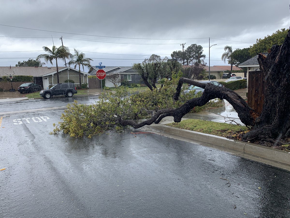 CityofRPV's tweet photo. Over the weekend, the Public Works team responded to 61 emergency calls in 24 hours. The crew responded to 35 downed trees, 23 fallen branches, one downed streetlight, and two floods. Thank you for all your hard work keeping RPV's streets safe and clean!
#TeamRPV #RPVTogether https://t.co/t123C0avJz