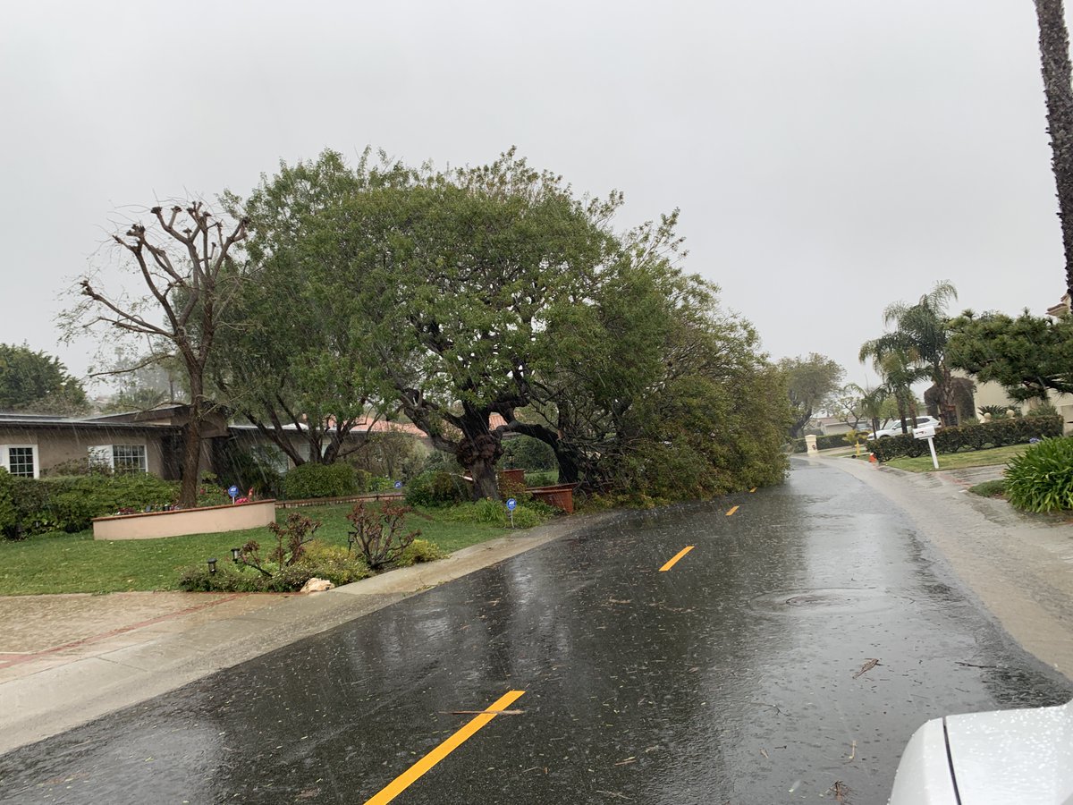 CityofRPV's tweet photo. Over the weekend, the Public Works team responded to 61 emergency calls in 24 hours. The crew responded to 35 downed trees, 23 fallen branches, one downed streetlight, and two floods. Thank you for all your hard work keeping RPV's streets safe and clean!
#TeamRPV #RPVTogether https://t.co/t123C0avJz