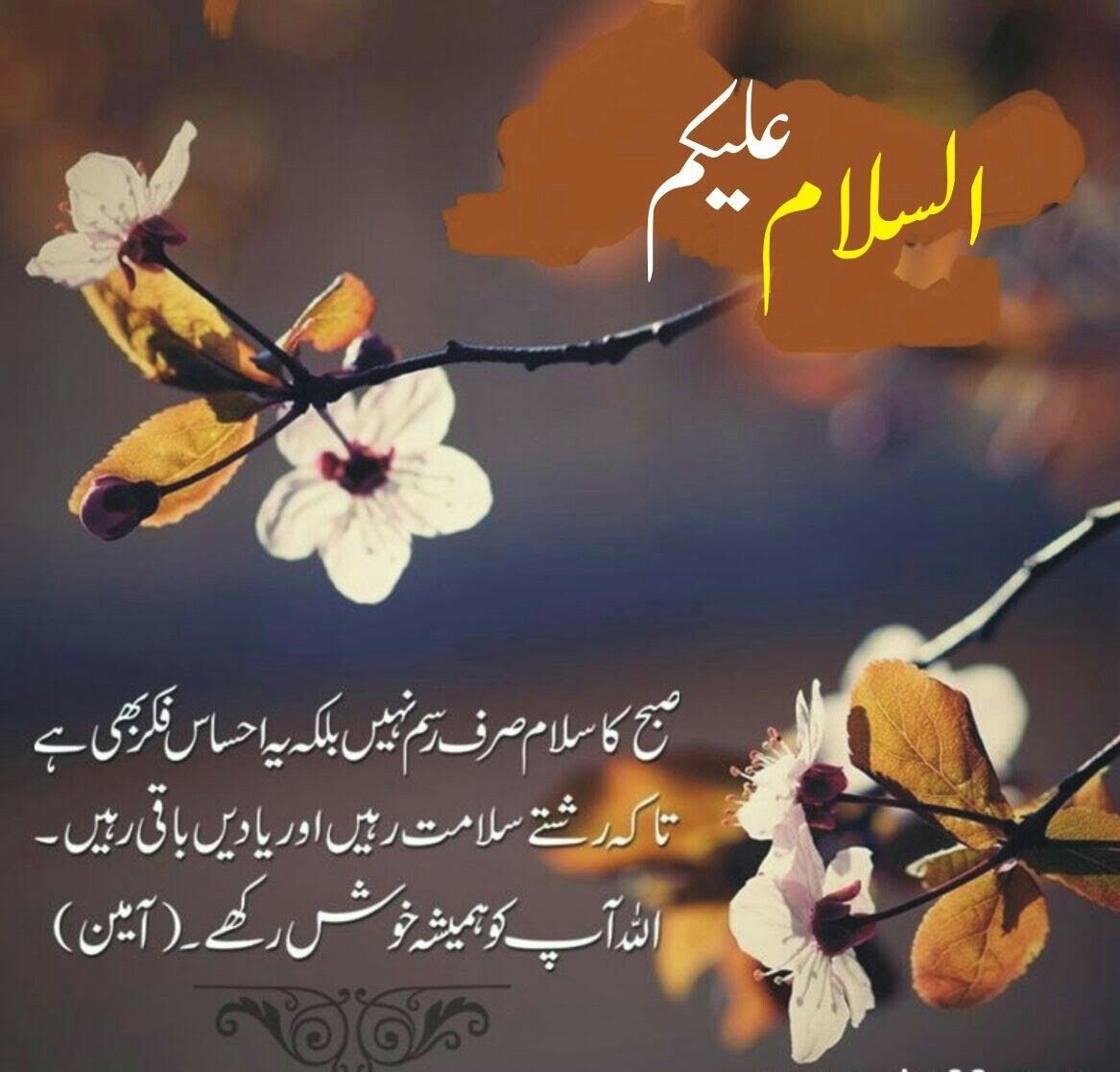 💕 اسلام علیکم 💕
🌹صبح بخیر 🌹
🌸اللّٰہ اپکو اپنے حفظ و امان میں رکھے🌸 🌸آمین 🌸