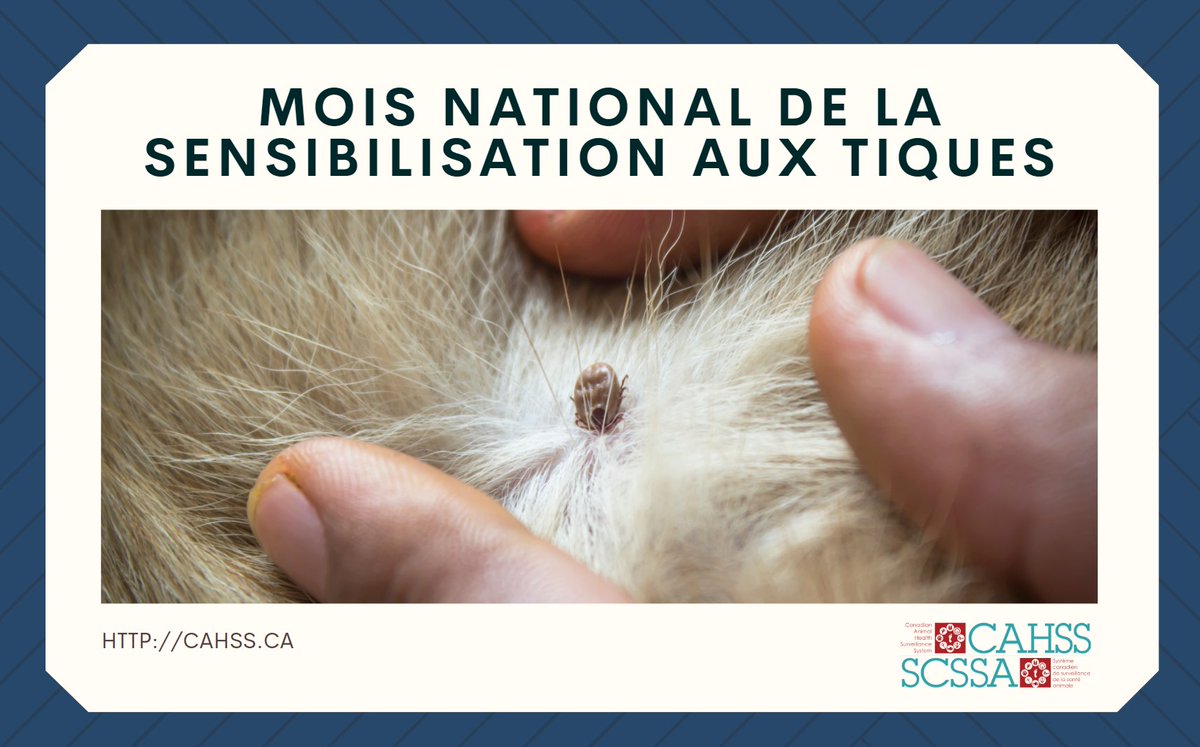 CahssCanada's tweet photo. Mars est le mois national de sensibilisation aux tiques! @CahssCanada publiera des articles sur les tiques, les maladies transmises par les tiques et des faits sur la #tique #asiatique à #longues (Haemaphysalis longicornis). Restez à l'écoute ! #tiquetoc https://t.co/TpZwtyTJUE