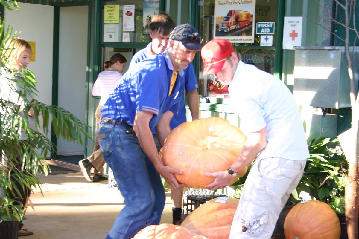 We are proud to announce we are a GOLD sponsor for the annual Kununurra Ag Show this July. Join the giant pumpkin growing competition - swing by our Merchandise store and grab your very own seed packet.

📸Kununurra Ag Show
#GiantPumpkin #AgShow #Sponsor