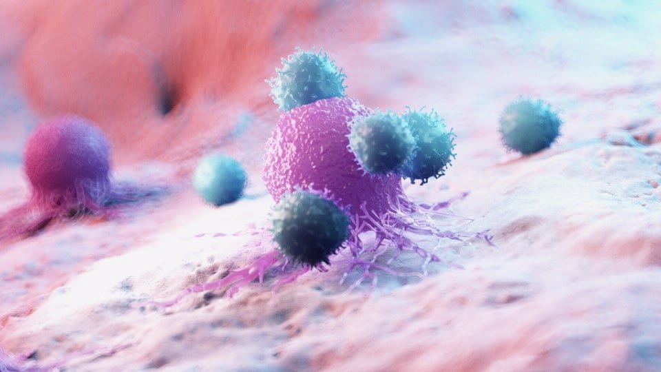 mscienceaustnz's tweet photo. See how you can evaluate immune cells killing in real-time with @Agilent. 

Find out how: https://t.co/RgcgLCmb3U

#Tcell #NKCell #CheckpointInhibitors #ADCC #BiTES https://t.co/fNuoRPSNWE