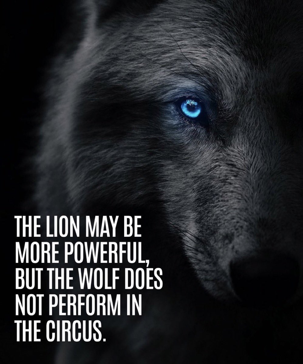 O leão pode ser o animal mais poderoso mas você jamais viu um lobo no circo. 
#true