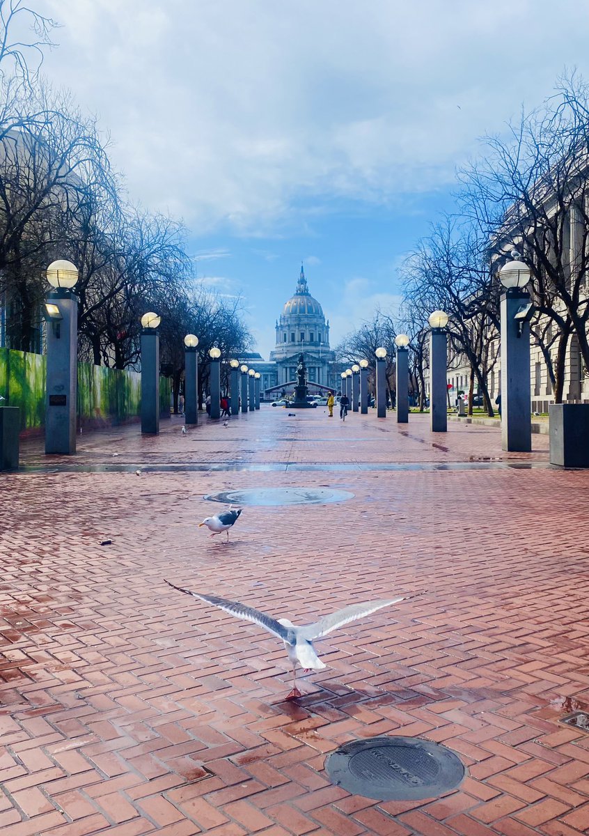 Yasir_SF's tweet photo. A beautiful view of #SFCityHall from #UNplaza, right after rain π§οΈ
#HappyMonday #ColdRainyFebruary https://t.co/jTYvTzUaTP