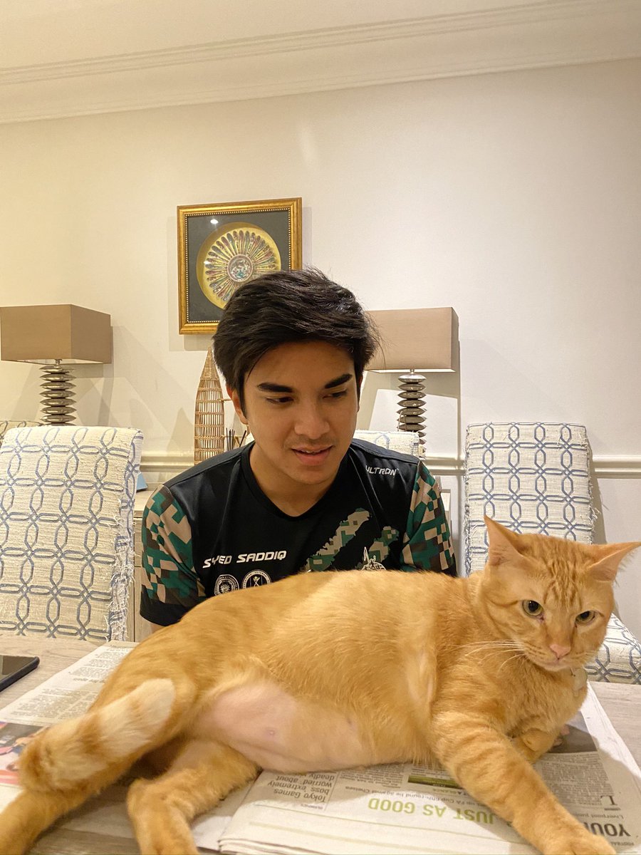 SyedSaddiq's tweet image. Toby, my beloved cat has left us.

So sudden.

So sad.

I miss him so much.

Thank you for being there for me in the toughest of times.

May you rest well in “Cat heaven”.