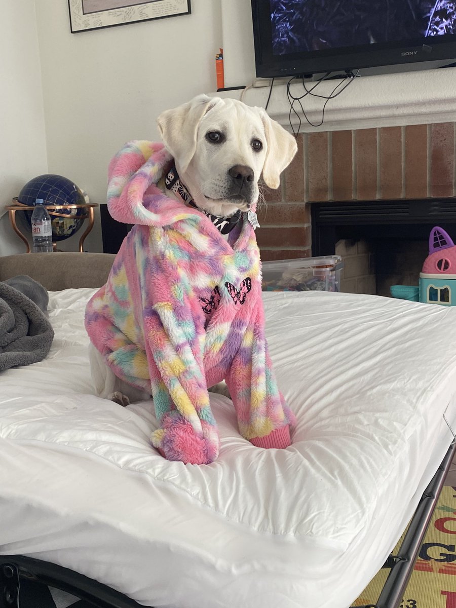 HefCarter ✨ tweet media