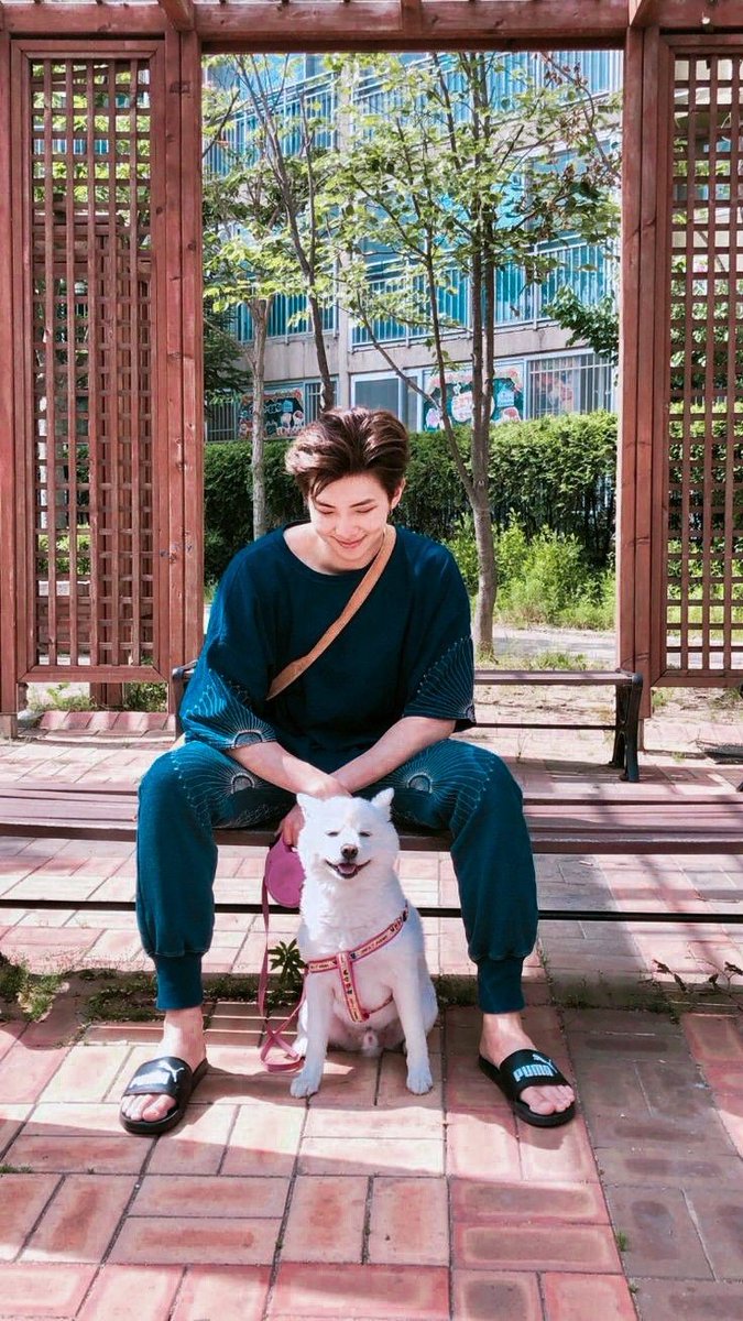 MoonKitten9493's tweet photo. Happy birthday rap monie #bts #btsdoggos @BTS_twt #rm #namjoon https://t.co/8EW8pO3RWy