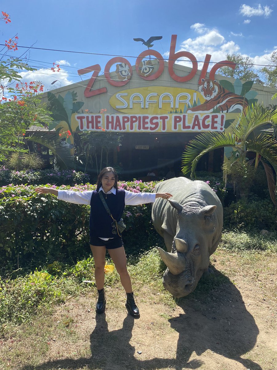 YogiDFrenchBully tweet media