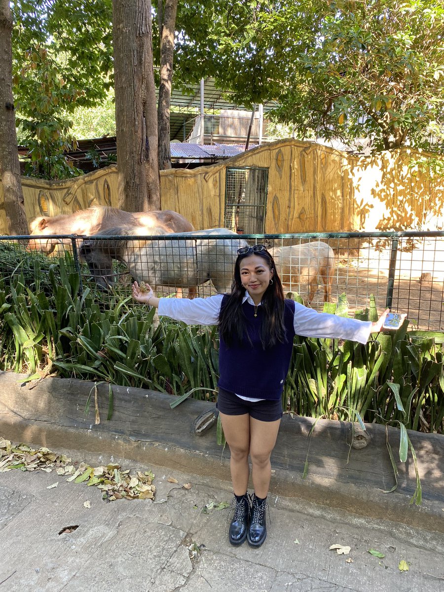 YogiDFrenchBully tweet media